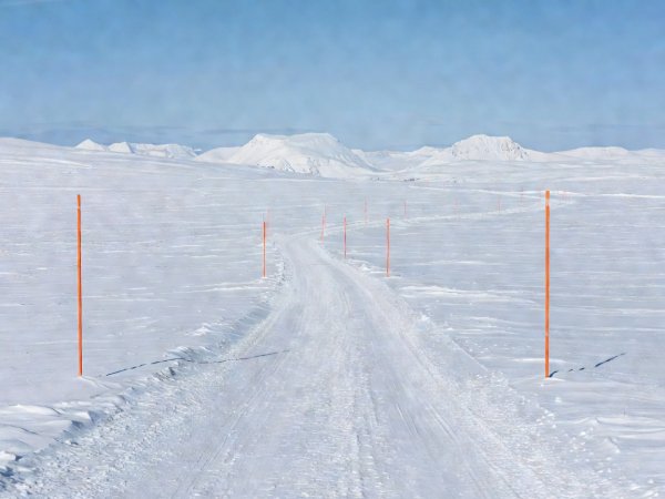 Snow-covered Norwegian mountain plateau road lined with tall orange snow markers under crisp winter daylight